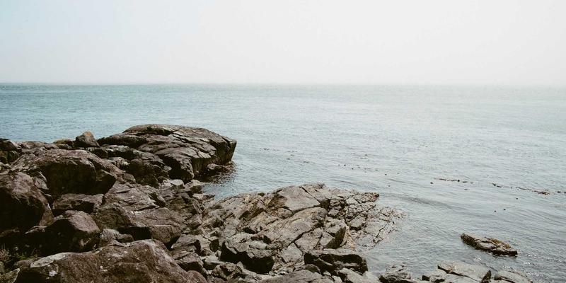 专业美发师揭秘：针对脱发人群的剪发技巧与视觉增发造型课程