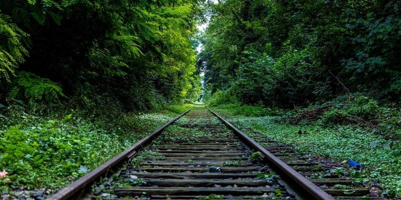 专业美发造型师必读：如何运用色彩心理学，通过剪发与染发塑造客户气质与形象