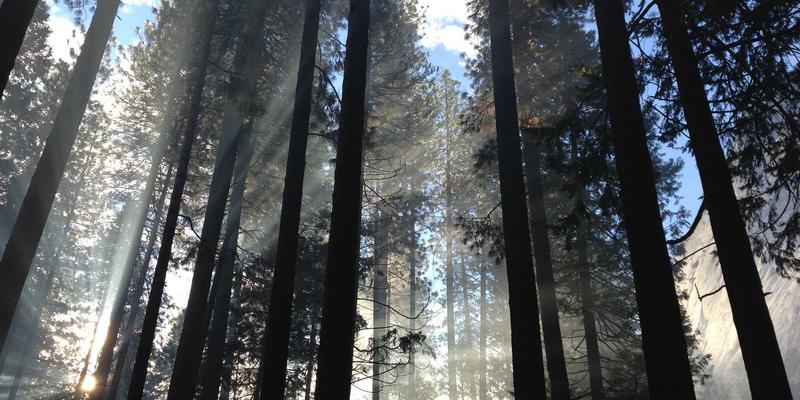 专业美发造型师必读：巧用会员体系锁定染发客户，提升复购率与忠诚度