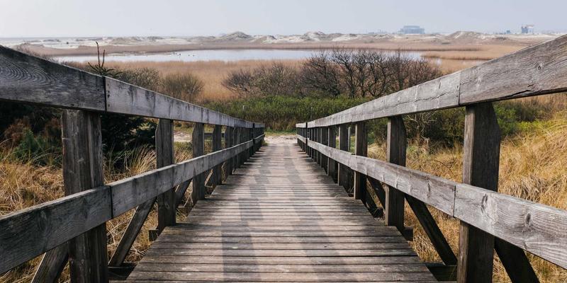 从入门到精通：美发造型师14的进阶之路——剪发技术与造型课程全解析