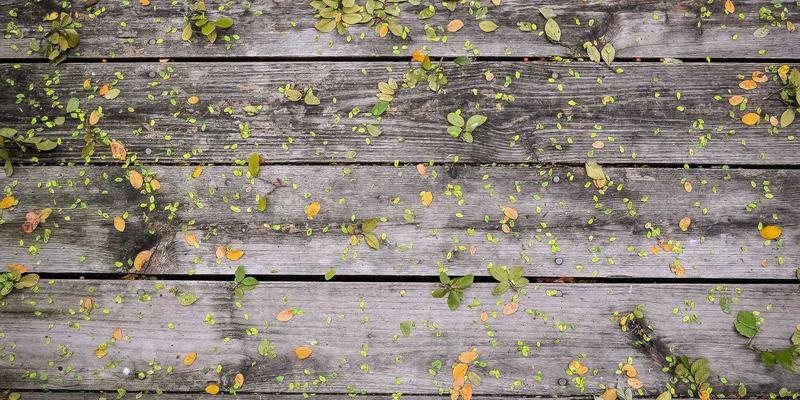 从入门到精通:美发造型师71的进阶之路与专业课程全解析