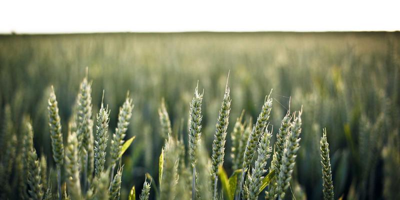 从剪发到造型艺术:专业美发师的15年进阶之路与核心课程指南