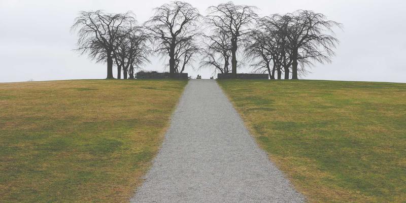 从学徒到大师：美发造型师50天蜕变指南 | 专业剪发与美发培训全解析