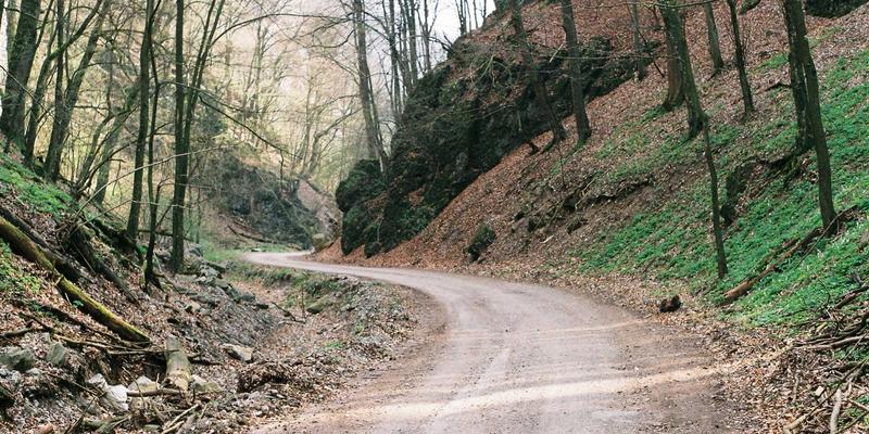 从染发艺术到专业蜕变：如何成为顶尖美发造型师