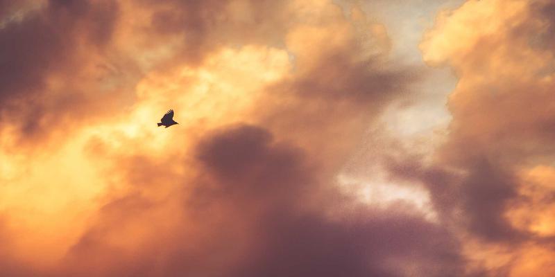 从美发培训到专业美发造型师47：解锁成功发型师的成长密码