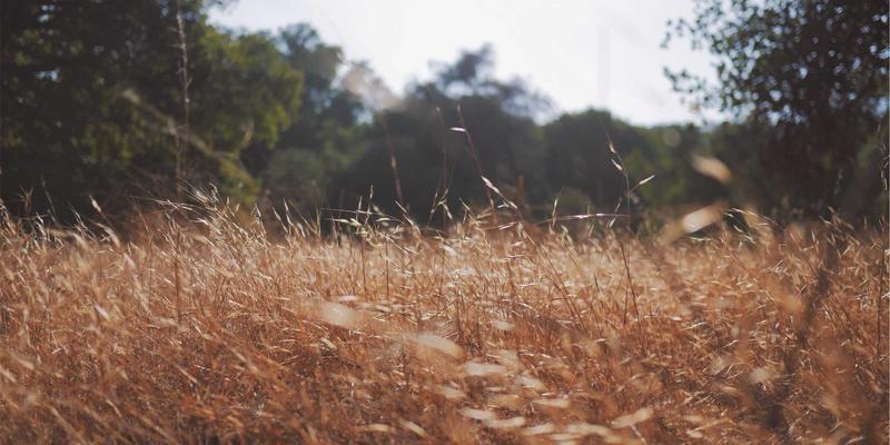 从美发培训到专业美发造型师：一条通往艺术与技术的职业之路