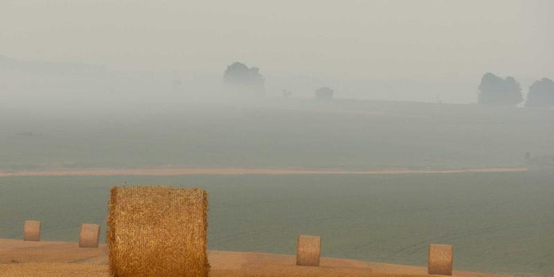 从造型课程到染发大师：美发造型师如何通过系统培训实现职业飞跃