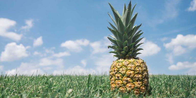 男士发型潮流趋势解读：从经典渐变到现代纹理烫的造型要点与美发培训精要