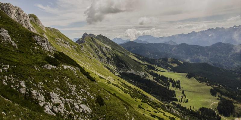 美发造型师24：专业进阶之路与未来造型趋势解读