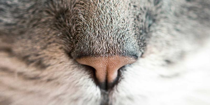 美发造型师45：从染发、剪发到专业造型课程的全面进化